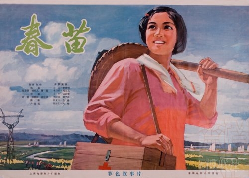 学历证书学信网证明怎么弄